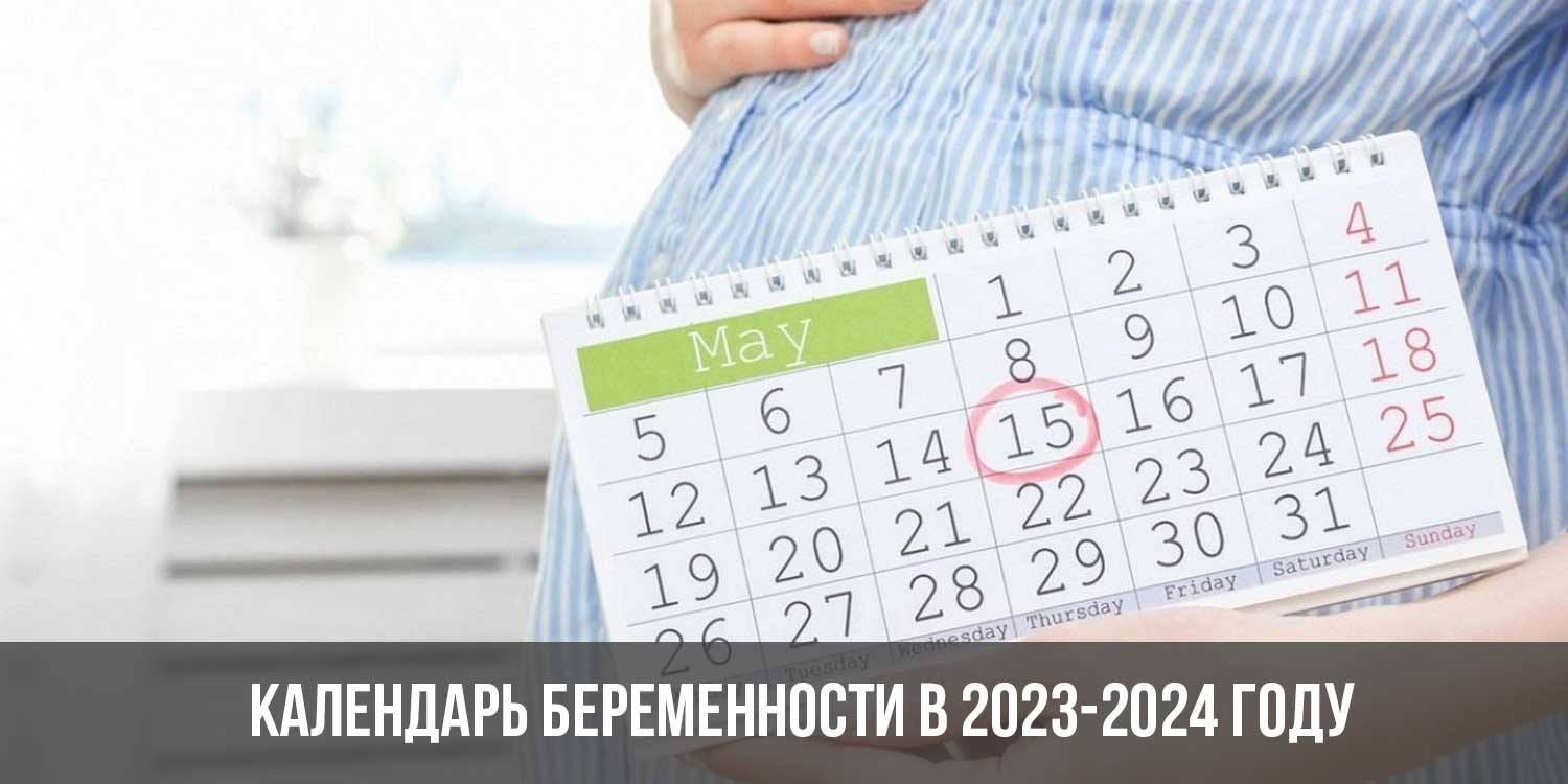 Пособия для беременных в 2024 году