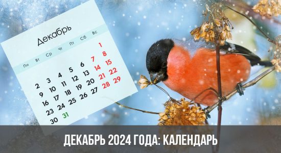 Декабрь 2024 года: календарь