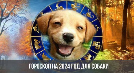 Гороскоп на 2024 год для Собаки
