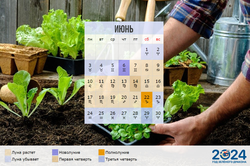 Лунный календарь огородника для Сибири на июнь 2024 года