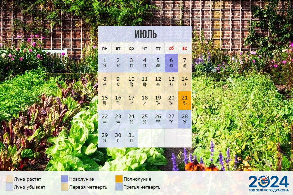 Лунный календарь огородника для Сибири на июль 2024 года