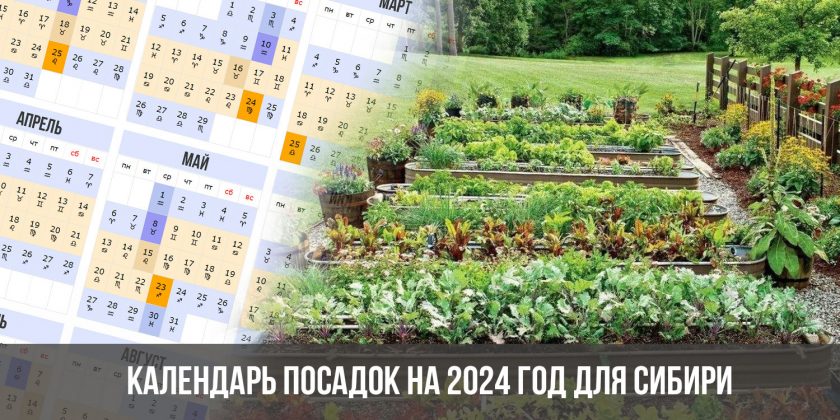 Календарь посадок на 2024 год для Сибири