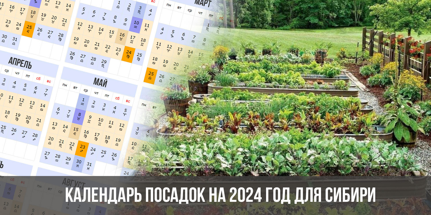 Посадочный календарь для сибири на 2024 год