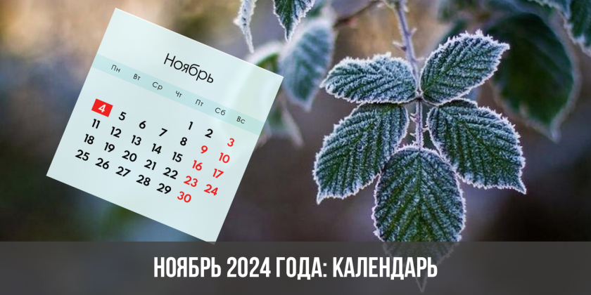 Ноябрь 2024 года: календарь