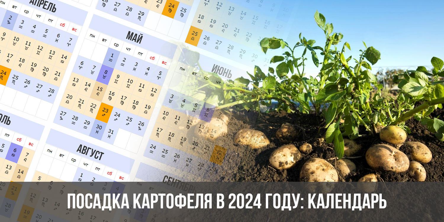 Календарь посадок на сентябрь 2024 год