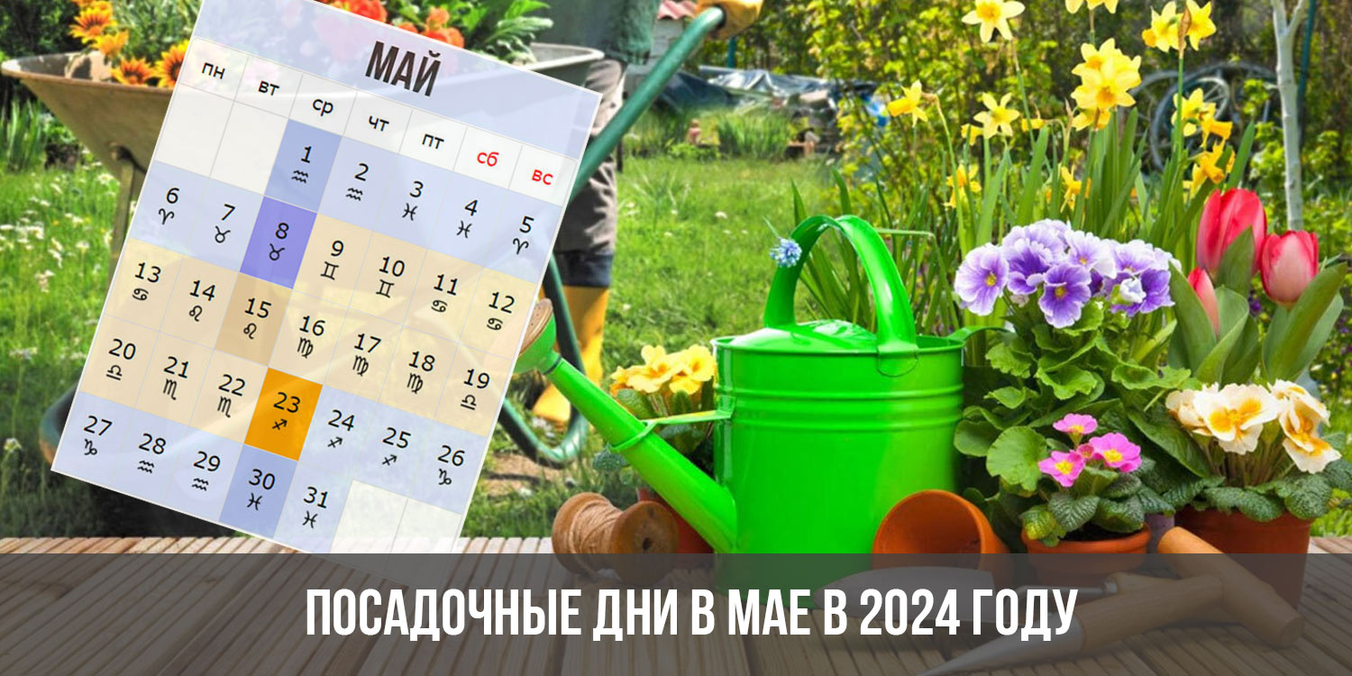 1 апреля 2024 лунный. Посадочные дни 2024. Посадочные дни в 2024 году. Посадочный календарь на 2024. Посадочный календарь на май 2024 года.