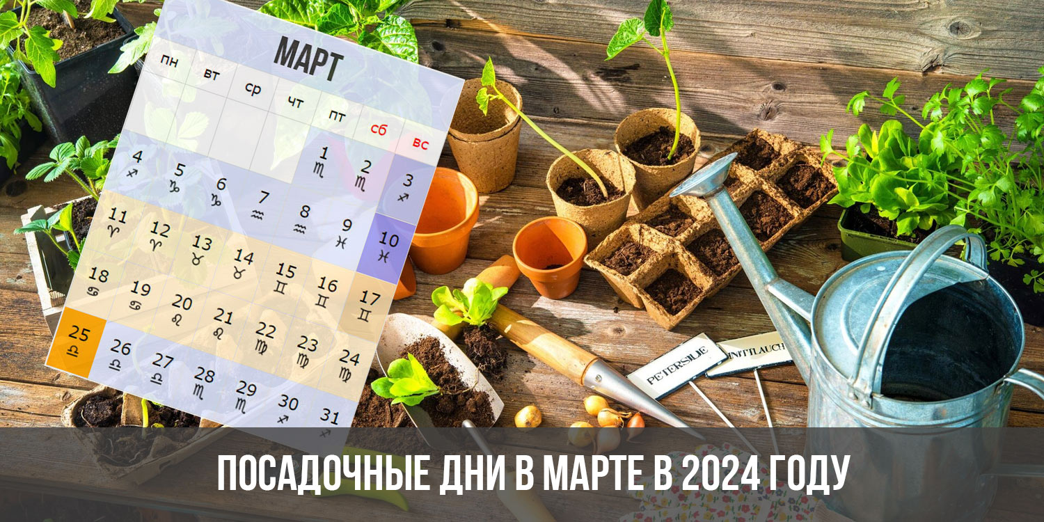 Благоприятные дни для посадки марте 2024 года. Посадочные дни в марте 2024. Посадочные дни для помидор в марте 2024. Лунный календарь посадки на март 2024. Лунный календарь 2024 для огорода.