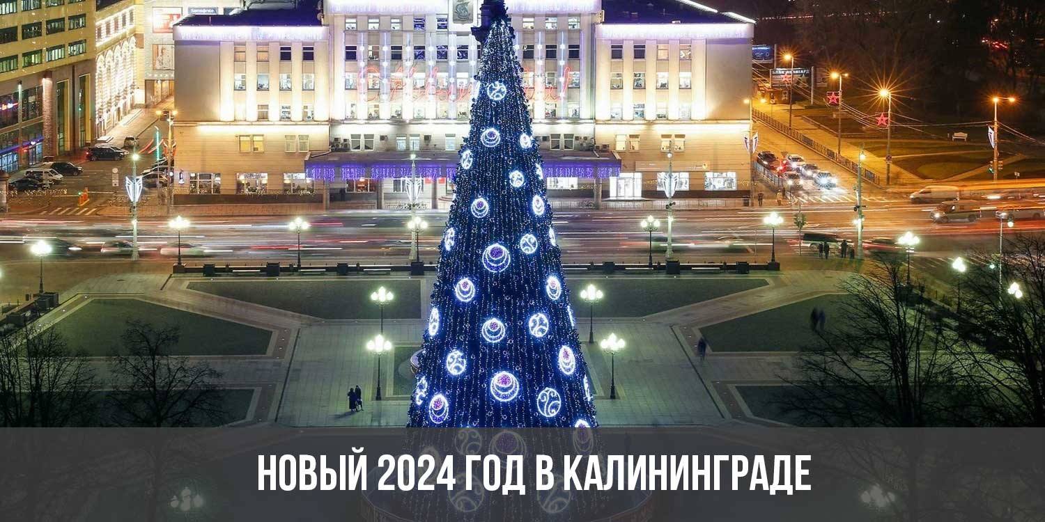 Новогодний калининград 2024