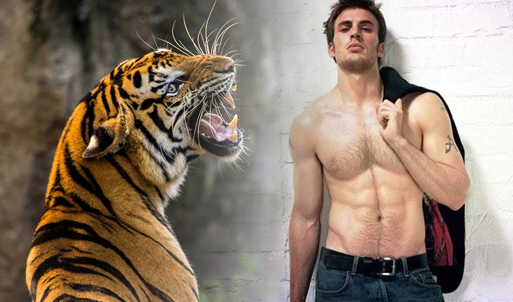 Тигр и мужчина