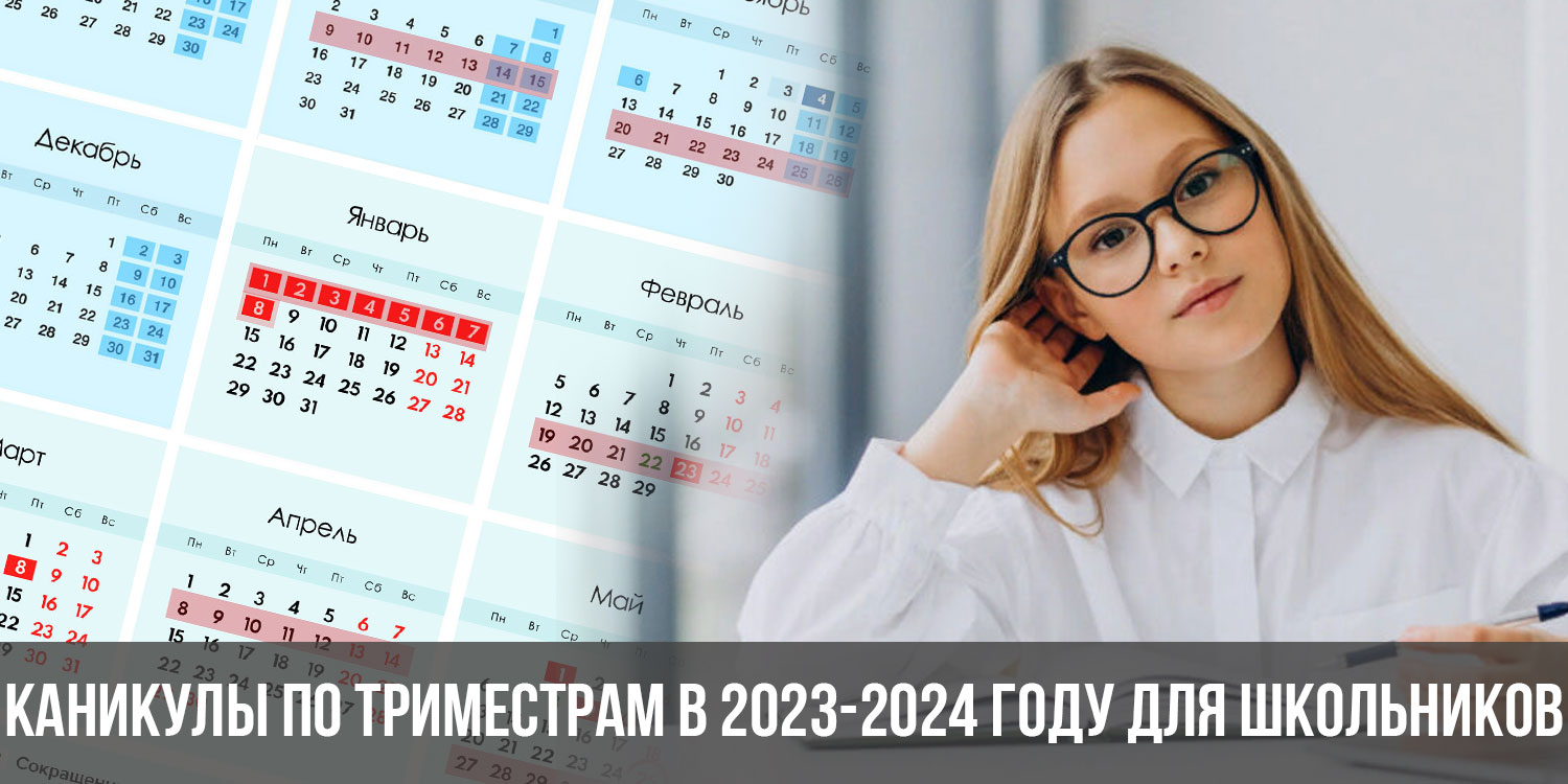Триместры 2023 2024 московская область