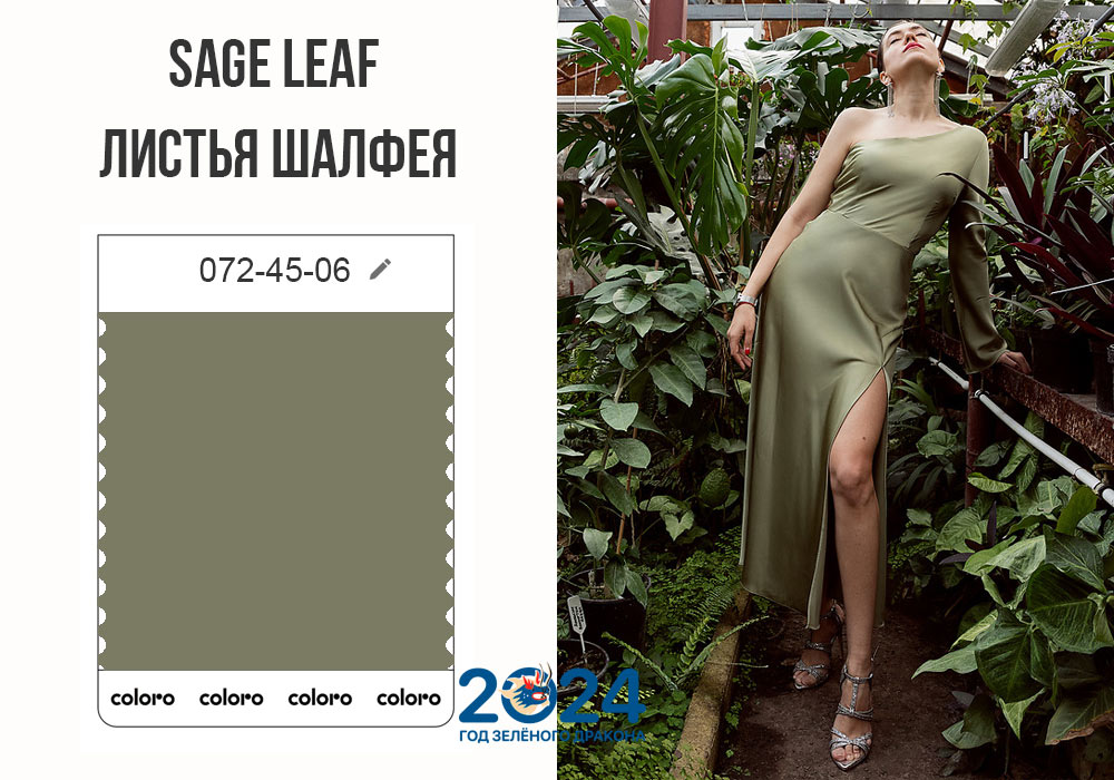 Sage Leaf / Листья шалфея модный цвет 2024 года