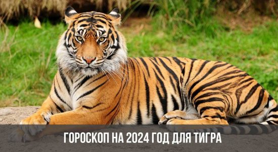 Гороскоп на 2024 год для Тигра