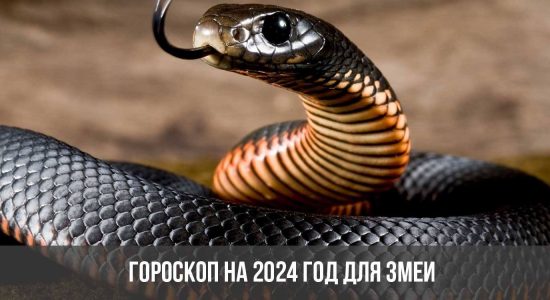 Гороскоп на 2024 год для Змеи