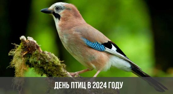 День птиц в 2024 году