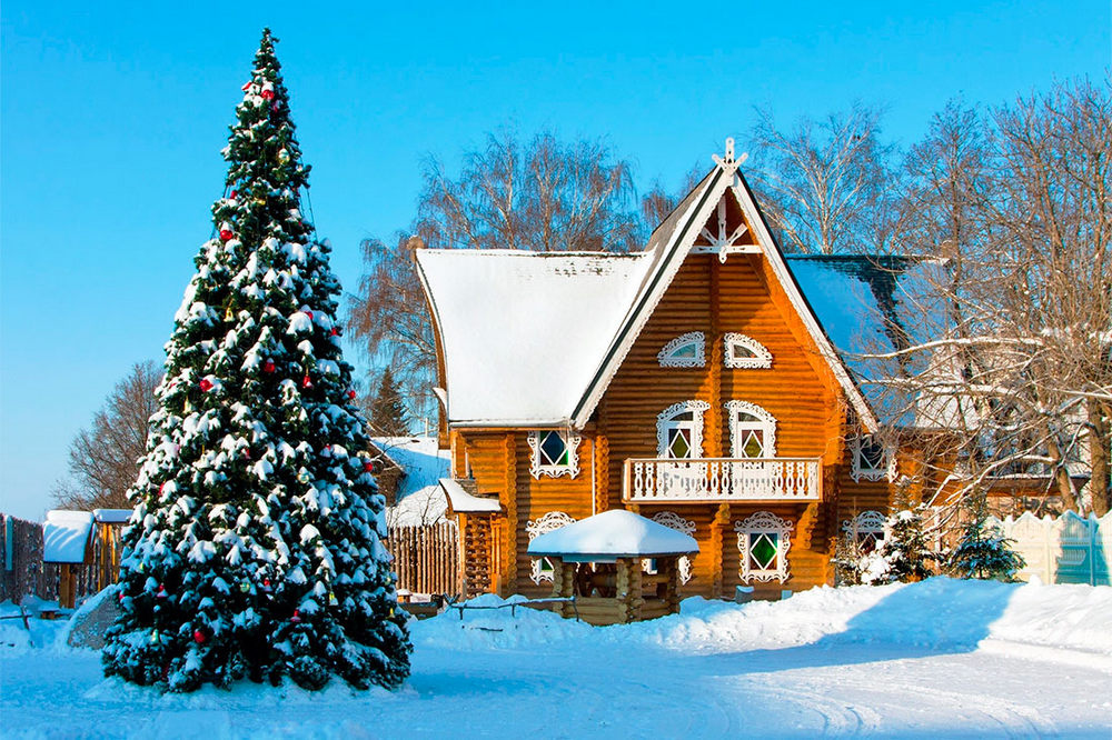 Ель, деревянный дом, снег, деревья