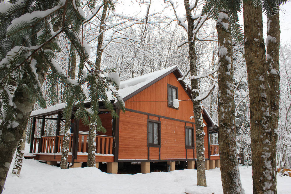 Деревянный дом, ели, снег