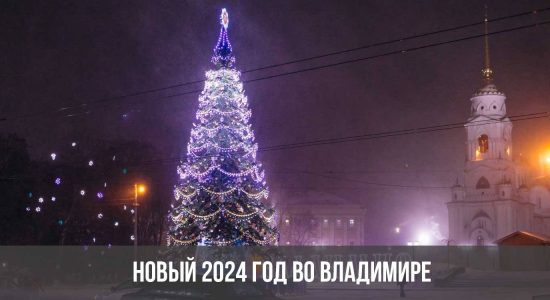 Новый 2024 год во Владимире