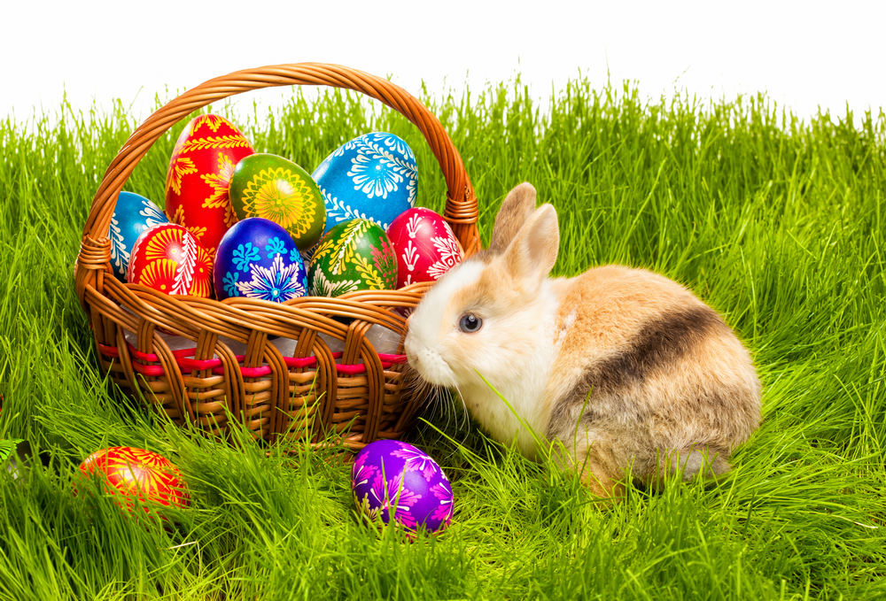 Пасхальные яйца в корзине, кролик на траве