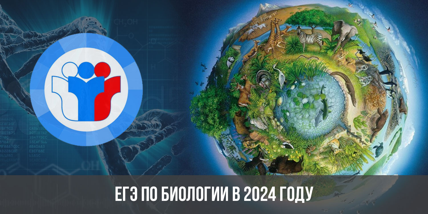 Биология 2024