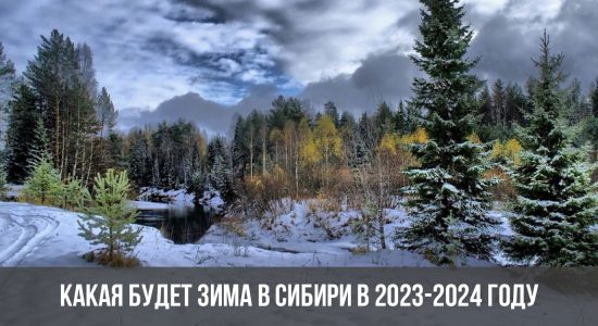 Какая будет зима в Сибири в 2023-2024 году
