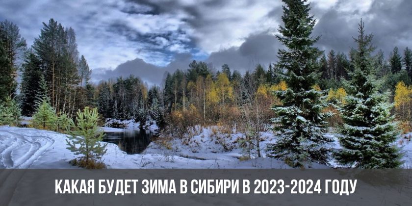 Какая будет зима в Сибири в 2023-2024 году